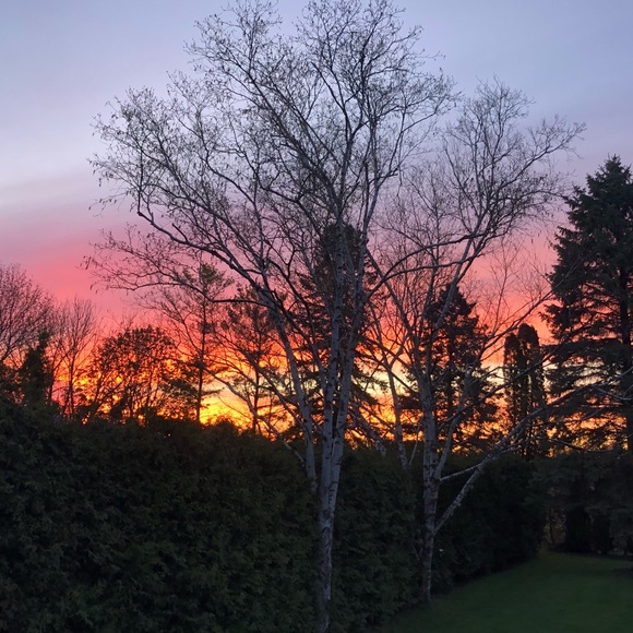 Meet your Posher, Mya - Picture 1 of 1